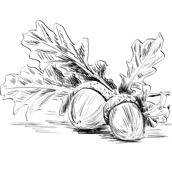 ikhodalinternational.com